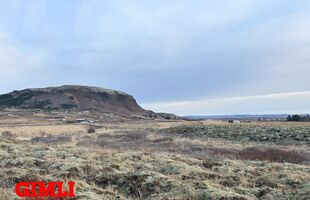 Selfoss 805
