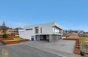 Kópavogur 203