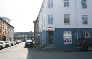 Reykjavík 101