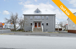 Reykjavík 105
