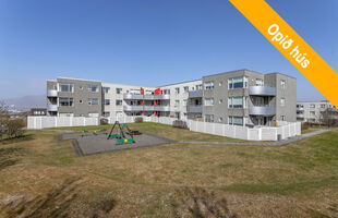 Reykjavík 113