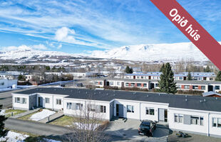 Akureyri 600