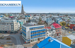 Reykjavík 101