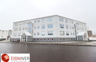 Akureyri 603