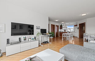 Reykjavík 112