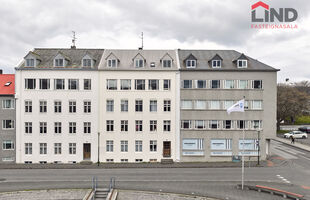 Reykjavík 101