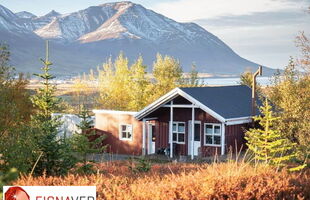 Dalvík 621