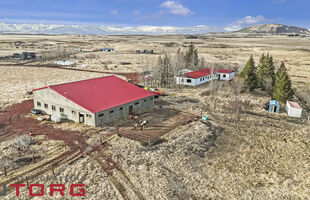 Selfoss 805