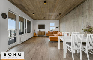 Reykjavík 113