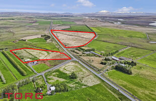 Selfoss 804