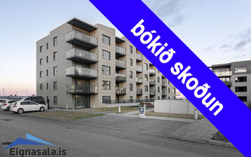 Asparlaut 1, 230 Reykjanesbær