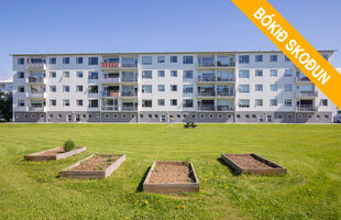 Reykjavík 105