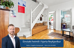 Reykjavík 101