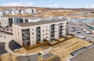Kópavogur 203
