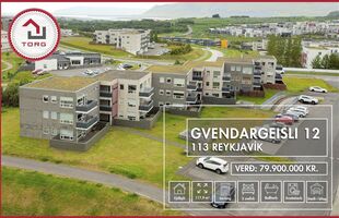 Reykjavík 113