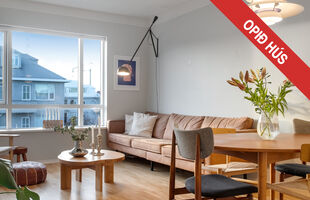 Reykjavík 105