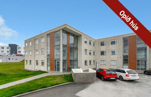 Kópavogur 203