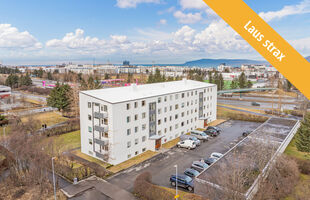 Reykjavík 103
