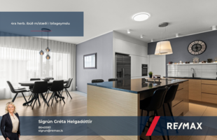 Reykjavík 113
