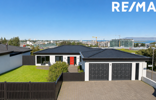 Reykjavík 110