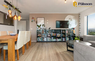 Reykjavík 110