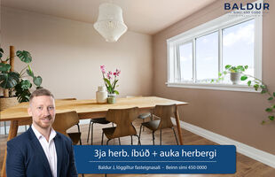 Reykjavík 101