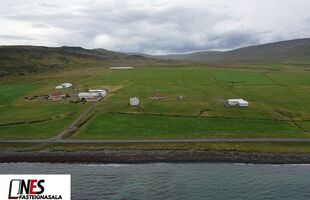 Staður 500