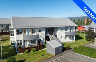 Akureyri 603