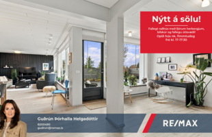 Reykjavík 110