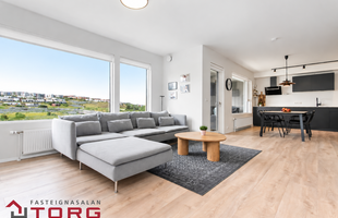 Reykjavík 113