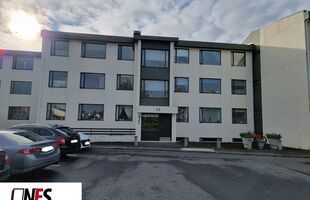 Borgarnes 310