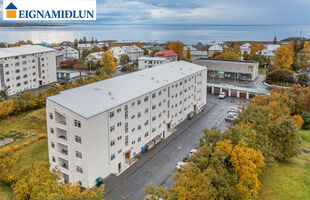 Reykjavík 107
