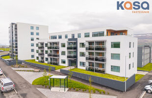 Akureyri 600