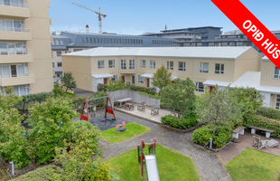 Reykjavík 105