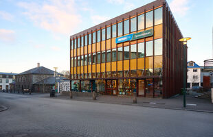 Reykjavík 101